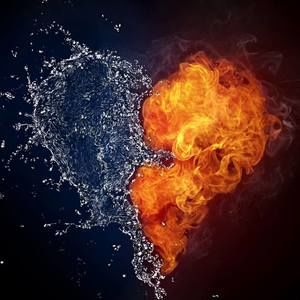 Meet your Posher, Misty